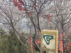 -南翠屏公园