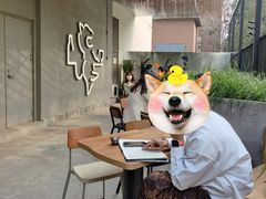 -大小咖啡 BigSmallCoffee(麦子店)