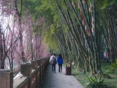 -望江楼公园