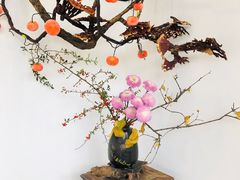 -乐领拈花溪·林涧食韵