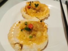 -裕龙汤泉