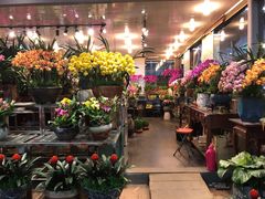-双季花艺园艺市场(浦东店)