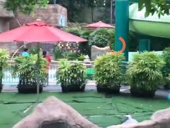-新加坡水上探险乐园