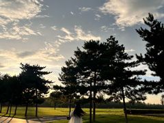 -汉长安城未央宫国家考古遗址公园