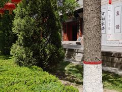 -大槐树寻根祭祖园