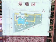 -嘉定紫藤园