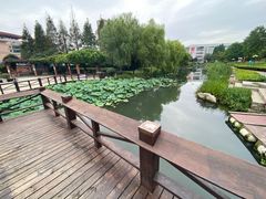 -丁家河公园