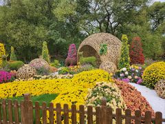 -上海共青森林公园