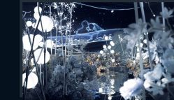 -静安洲际酒店·宴会厅