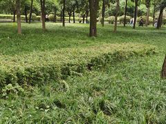 -唐城墙遗址公园