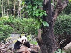 -南宁市动物园