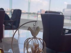 -白天鹅宾馆·月兔吧