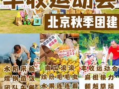 -桔子文创·企业团建·活动策划·拓展会议