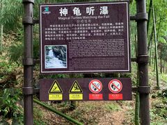 -藏龙百瀑风景区