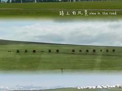 -呼伦贝尔大草原