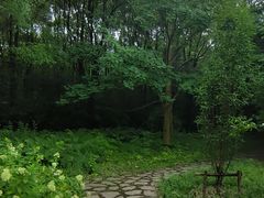 -上海滨江森林公园