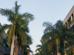 -华侨大学(厦门校区)