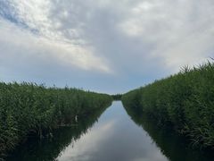 -白洋淀景区