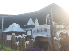 -泉州海丝野生动物世界