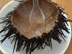 -海胆小馆(东北水饺·春柳店)