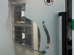-半岛宠物医院24小时(科华中路店)