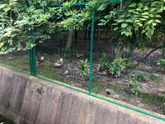 -呼吸森林·生态农庄农家乐私房菜