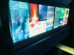 -上海昆虫博物馆