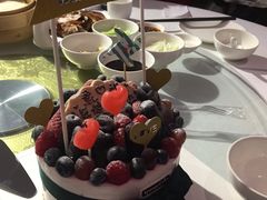 -EnergyCake蛋糕理想国