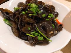 凉拌山木耳-润泽园椰子鸡(汇一城店)