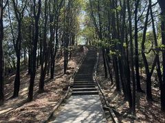 -火炉山森林公园