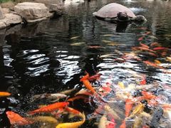 -龙达温泉生态城
