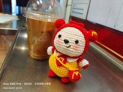 -麦当劳(红旗路店)