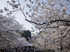 -苏州上方山国家森林公园