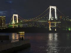 -台场海滨公园船码头