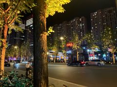 -合景·悠方(成都店)