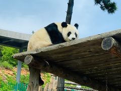 -大连森林动物园