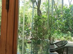 -庭悦餐厅(华侨城店)