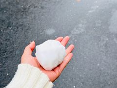 -萧记三鲜烩面(郑汴路店)