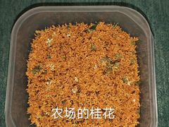-洪湖家庭农场·团建·露营·会议