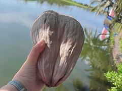 -海南鉴湖蓝湾高尔夫球会