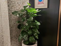 -燕春园中餐厅-北大博雅国际酒店