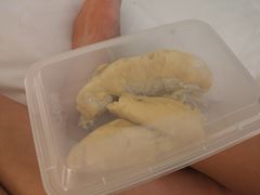 -都念榴莲·城市榴莲