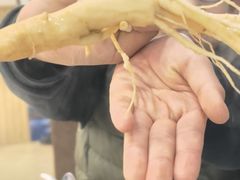 人参鸡汤-朴小妹人参鸡汤火锅(长白山万达店)