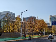 -首都电影院(金融街店 杜比全景声)