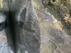 -常州淹城野生动物世界