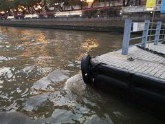 -珠江夜游省总码头