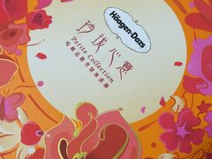 -大宁郁金香公园-停车场