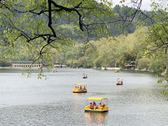 -黔灵山公园