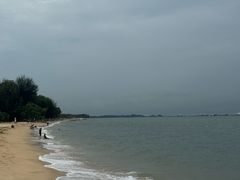 -东海岸人工湖美食村