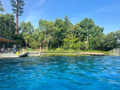 -太阳岛度假酒店